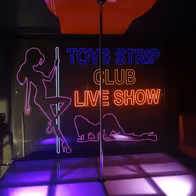 Strip Club Toys - photo 3