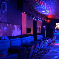 Strip Club Toys - photo 9