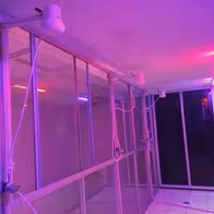 Casa Swinger - photo 7