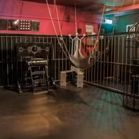 Club Show Boat - photo 9