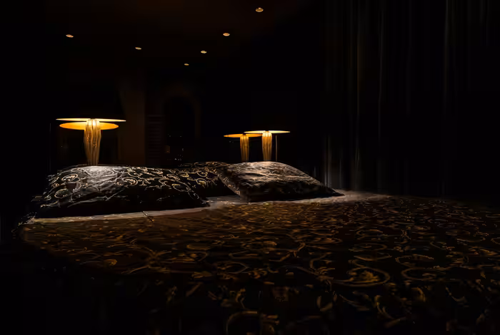 Penthouse Haarlem