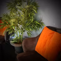 Privéhuis Total Touch Wellness - photo 12