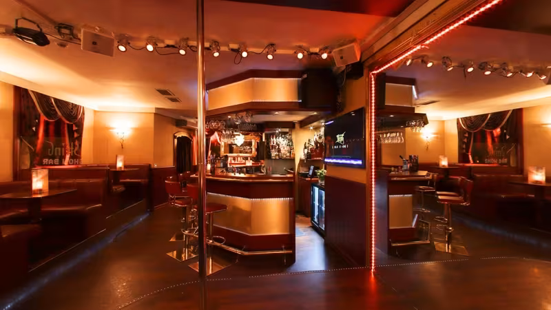 String Showbar - photo 1