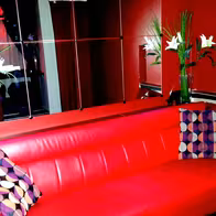 Night Life - Bar Show & Dance - photo 9