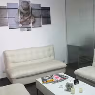 Spacio 7 VIP - photo 2