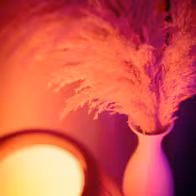 Hypnos Lounge Privè | Nuru Wrocław | Erotic Massage Wroclaw | - photo 6