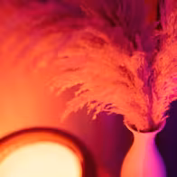 Hypnos Lounge Privè | Nuru Wrocław | Erotic Massage Wroclaw | - photo 3