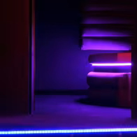 Night Club Euphoria - photo 5