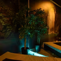 Eros Center Tantric And Sensual Massage - photo 2