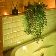 Eros Center Tantric And Sensual Massage - photo 7