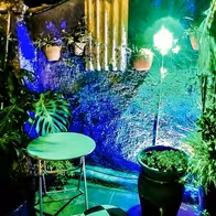 Pink Club - photo 5