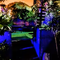 Pink Club - photo 6