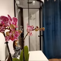 Authentic Spa - photo 5