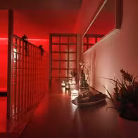Tantric Love - Art Of Erotic Massage - photo 3