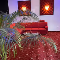 Cleopatra - Night Club & Masaj Erotic Oradea - photo 5