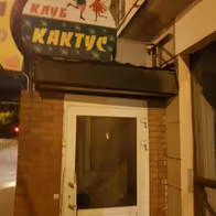 Kaktus - photo 2