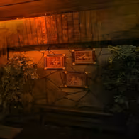 Swinger Club And Sauna Nautilus - photo 3