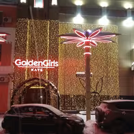Golden Girls Moscow - photo 15