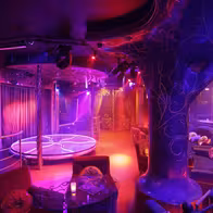 Strip Club "Rasputin" - photo 6