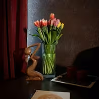 Veles Men's Lounge - photo 35