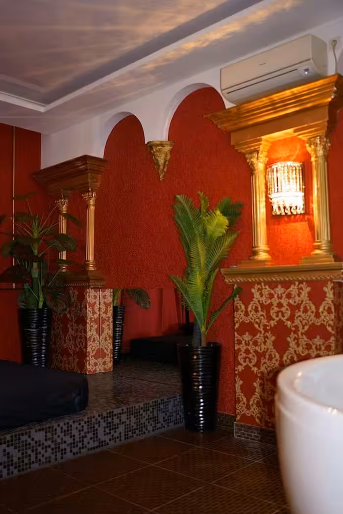 Men's Erotic Massage Salon Ego Spa