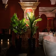 Men's Erotic Massage Salon Ego Spa - photo 14