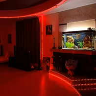 Klub Iskusheniye - photo 3