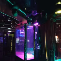 Стриптиз-клуб Zажигалка (Zazhigalka Barnaul) - photo 4