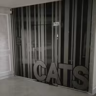 Striptease Club Cats - photo 2