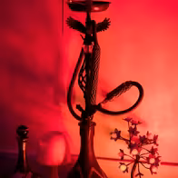 Shambala - photo 2