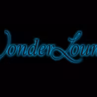 Wonder Lounge - photo 13