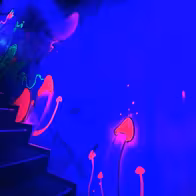 Klub Gymnasivm - photo 2