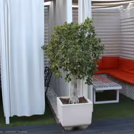 Sala Luxx - photo 3