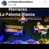 Club La Paloma Blanca - photo 5
