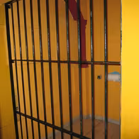 Acacia Liberales - photo 8