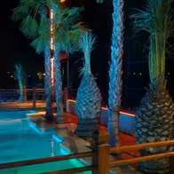 Las Palmeras - Night Pub Alicante - photo 3
