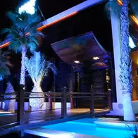 Las Palmeras - Night Pub Alicante - photo 34