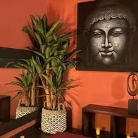 Samadhi Masaje Erótico Alicante/Erotic Massage/Tantra Nuru ­�️⭐️⭐️⭐️⭐️ - photo 4