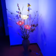 Japanese Massage - Sex Shop - photo 2
