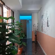 Japanese Massage - Sex Shop - photo 3