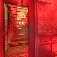 Chat Noir - photo 2