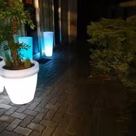 Sauna Horn (Erotik Club Interlaken) - photo 19