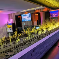 Sauna Horn (Erotik Club Interlaken) - photo 20
