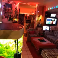 Thai Sauna Florida - photo 16