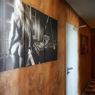 Zürich Tantra (Bergdietikon) - photo 16