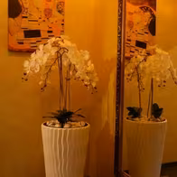 Erotische Massage - photo 4