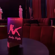 Lady Night - photo 6