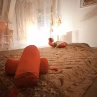 Amrita Tantra Massage & Erotik Zürich - photo 5