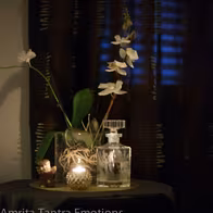 Amrita Tantra Massage & Erotik Zürich - photo 6