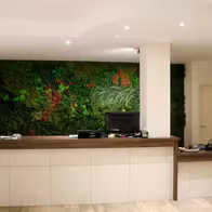 Yüzüncüyıl Masaj Salonu Spa - photo 5